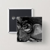Dart Frog Friends B+W Button (Vorne & Hinten)