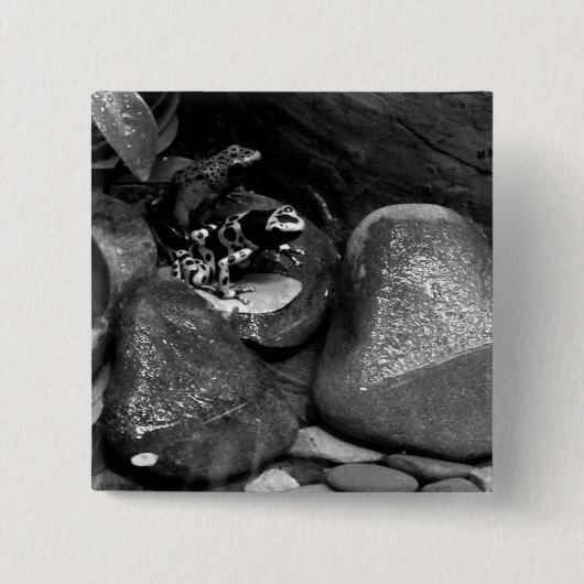Dart Frog Friends B+W Button (Vorderseite)