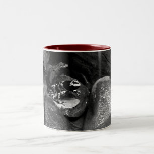 Dart Frogs Sharing Rock B+W Zweifarbige Tasse