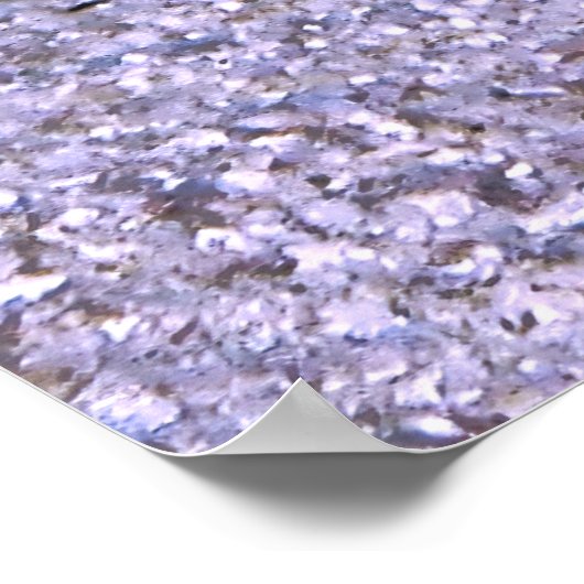 Dart Goby dekoriert Poster (Ecke)