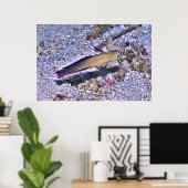 Dart Goby dekoriert Poster (Heimbüro)