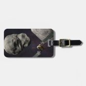 Dart Spacecraft und Liciacube vor der Einwirkung Gepäckanhänger (Vorderseite horizontal)