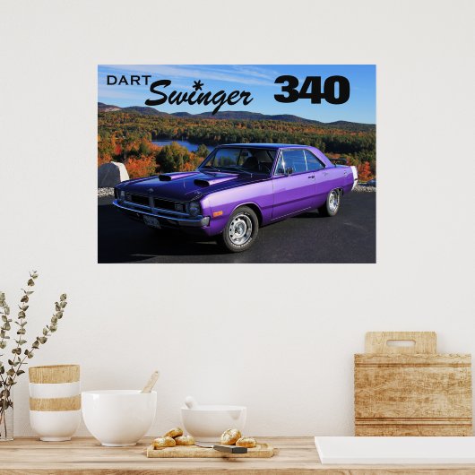 Dart Swinger 340 Poster (Küche)