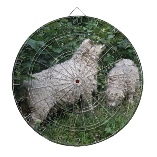 Dartboard für niedliche Schafe - Blätter Dartscheibe (vorne)