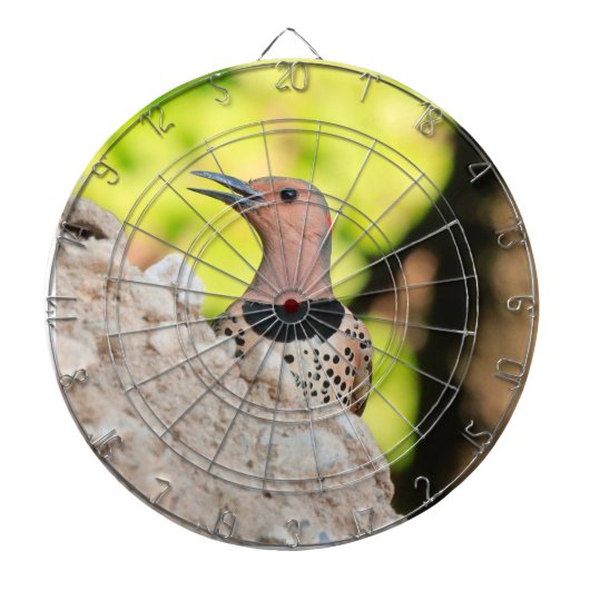 Dartboard mit Bild eines Nordflickers Dartscheibe (vorne)