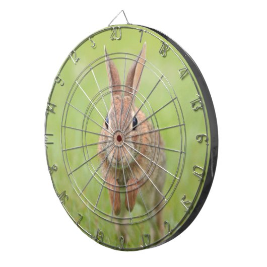 Dartboard mit Hasen-Kaninchen-Bild Dartscheibe (Vorderseite rechts)