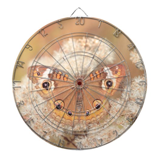 Dartboard mit Schmetterling Dartscheibe (vorne)