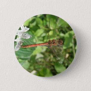 Darter Dragonfly Button