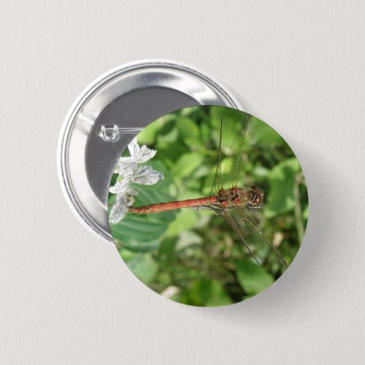 Darter Dragonfly Button (Vorne & Hinten)