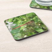 Darter Dragonfly Cork Untersetzer (Linke Seite)