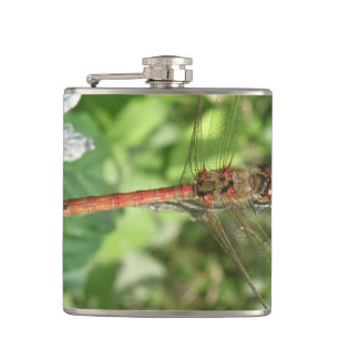 Darter Dragonfly Flachmann