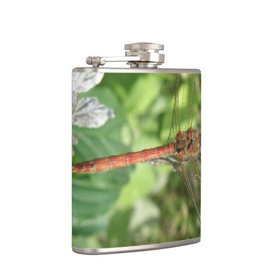 Darter Dragonfly Flachmann (Rechts)