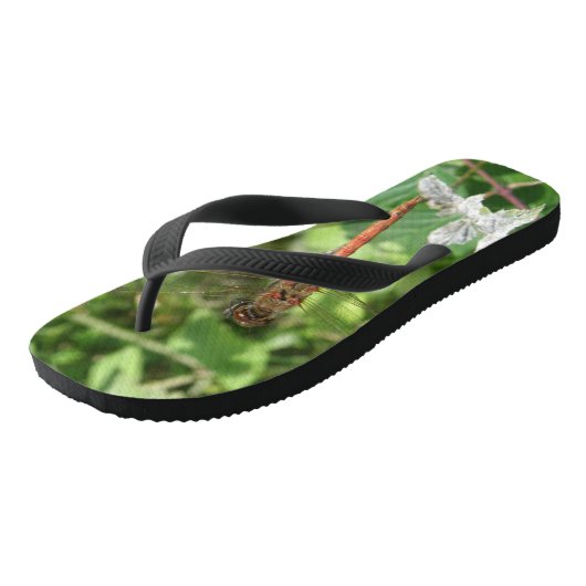 Darter Dragonfly Flip Flops Badesandalen (Schrägansicht)