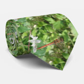 Darter Dragonfly-Krawatte Krawatte (Gerollt)