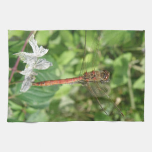 Darter Dragonfly Küchentuch