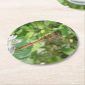 Darter Dragonfly Paper-Untersetzer Runder Pappuntersetzer (Angewinkelt)