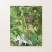 Darter Dragonfly Puzzle (Vertikal)