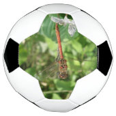 Darter Dragonfly Soccer Ball (Gedreht)