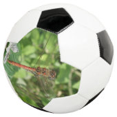 Darter Dragonfly Soccer Ball (Dreiviertel)