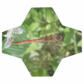 Darter Dragonfly Soccer Ball (Flach)