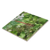 Darter-Dragonfly-Tile Fliese (Seite)