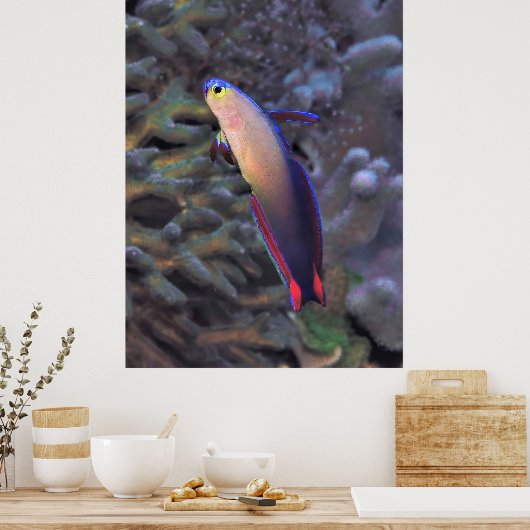 Dartfish Portrait Poster (Küche)