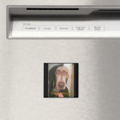 Darth Weim-Magnet Magnet (In Situ (Geschirrspüler))