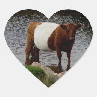 Dartmoor Galloway Kuh Stehend im Fluss Herz-Aufkleber
