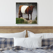 Dartmoor Galloway Kuh Stehend im Fluss Leinwanddruck (Insitu (Schlafzimmer))