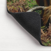 Dartmoor Hochland-Kuh, die im Adlerfarn weiden Mousepad (Ecke)