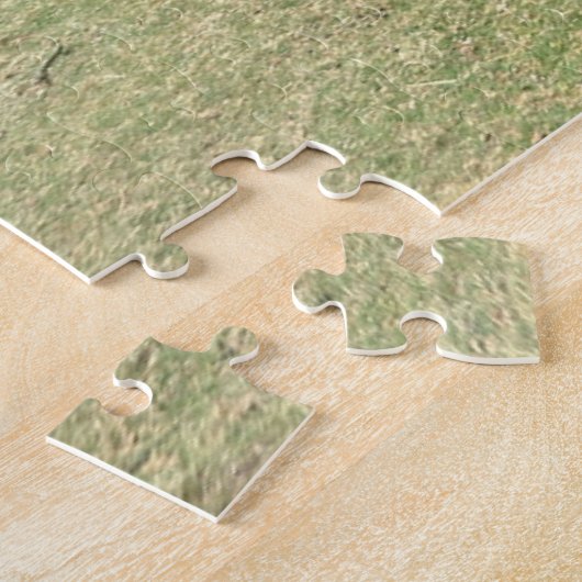 Dartmoor Ponny, Wild English Horses/Britain Puzzle (Seite)