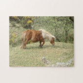 Dartmoor Ponny, Wild English Horses/Britain Puzzle (Horizontal)