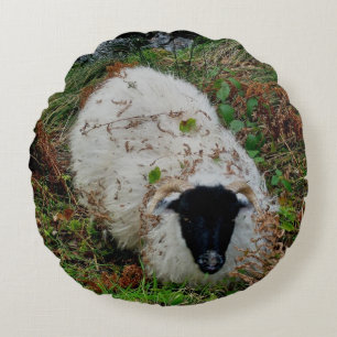 Dartmoor Schafe beim Verstecken Rundes Kissen