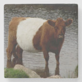 Dartmoor schnallte Galloway-Kuh-stehenden Fluss um Steinuntersetzer (Vorderseite)
