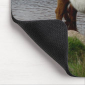 Dartmoor schnallte Galloway-Kuh um, die im Fluss Mousepad (Ecke)