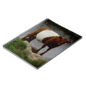 Dartmoor schnallte Galloway-Kuh um, die im Fluss Notizblock (Linke Seite)