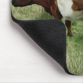 Dartmoor schnallte Gallowaykuh und -kalb um Mousepad (Ecke)