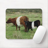 Dartmoor schnallte Gallowaykuh und -kalb um Mousepad (Mit Mouse)