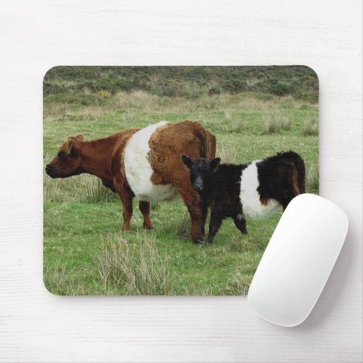 Dartmoor schnallte Gallowaykuh und -kalb um Mousepad (Mit Mouse)