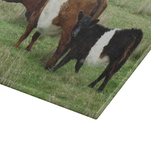 Dartmoor schnallte Gallowaykuh und -kalb um Schneidebrett (Ecke)