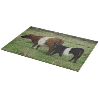 Dartmoor schnallte Gallowaykuh und -kalb um Schneidebrett
