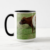 Dartmoor schnallte Gallowaykuh und -kalb um Tasse (Links)