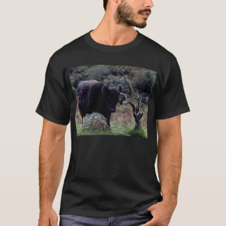 Dartmoor schwarze Galloway Kuh, die auf Baum T-Shirt