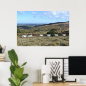 Dartmoor Sheep Poster (Heimbüro)