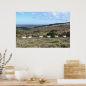 Dartmoor Sheep Poster (Küche)