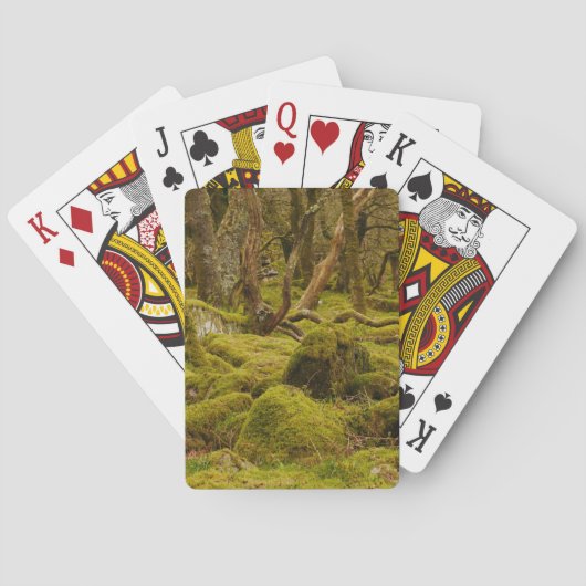Dartmoor-Wald-Spielkarten Spielkarten (Rückseite)
