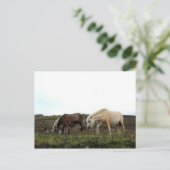 Dartmoor Wild Ponies Postkarte (Stehend Vorderseite)