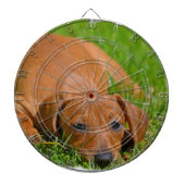 Dartscheibe - besonders angefertigt (vorne)