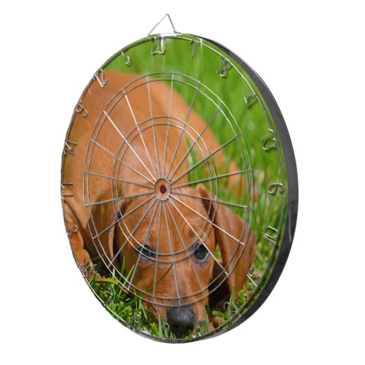 Dartscheibe - besonders angefertigt (Vorderseite rechts)