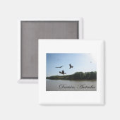 Darwin, Australien Magnet (Vorderseite/Rückseite)